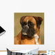 Boxer 7 Wall Mural