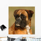 Boxer 7 Wall Mural
