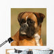Boxer 7 Wall Mural