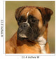 Boxer 7 Wall Mural