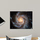 Spiral Galaxy 