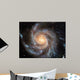 Spiral Galaxy 