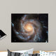 Spiral Galaxy 