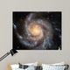 Spiral Galaxy 
