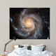 Spiral Galaxy 