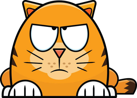 Grumpy Looking Orange Cartoon Cat Wall Decal