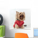 Yorkshire Terrier Clothes Wall Decal