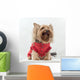 Yorkshire Terrier Clothes Wall Decal