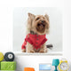 Yorkshire Terrier Clothes Wall Decal