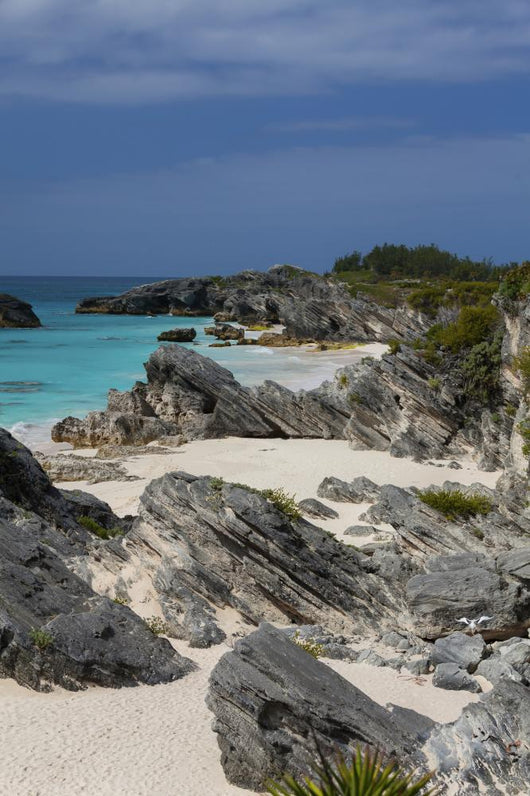 Bermuda Beach Wall Mural