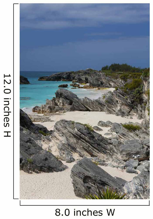 Bermuda Beach Wall Mural