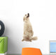 Golden Retriever Wall Decal