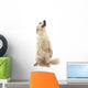 Golden Retriever Wall Decal