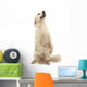 Golden Retriever Wall Decal