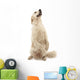 Golden Retriever Wall Decal
