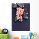 Composition with Beautiful Blooming Orchid with Water Drops and 