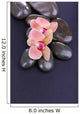 Composition with Beautiful Blooming Orchid with Water Drops and 