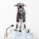 Farm Animal Goat Isolated Wall Decal