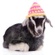 Farm Animal Goat Wall Decal