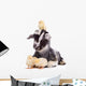 Goat and Chickens 
