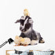 Goat and Chickens 