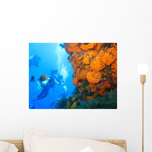 Fotosub Wall Decal