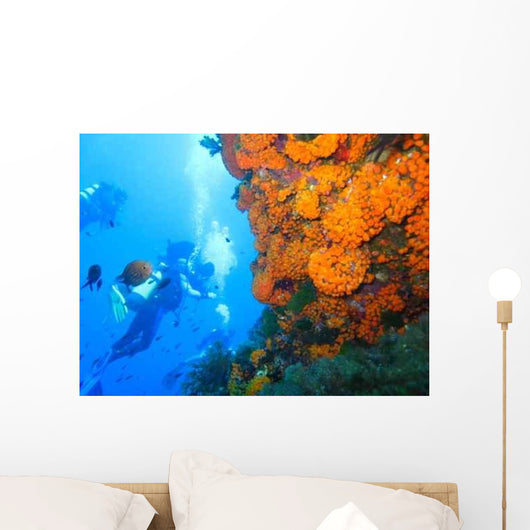 Fotosub Wall Decal