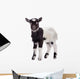 farm animal goat isolated 