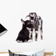 Farm Animal Goats Isolated 