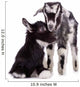 Farm Animal Goats Isolated 