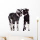 Farm Animal Goats Isolated 