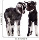 Farm Animal Goats Isolated 