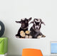 Goats and Chickens 