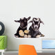 Goats and Chickens 