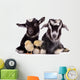 Goats and Chickens 