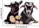 Goats and Chickens 