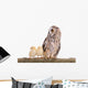 Owl with Newborn Chickens Wall Decal