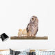 Owl with Newborn Chickens Wall Decal