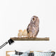 Owl with Newborn Chickens Wall Decal