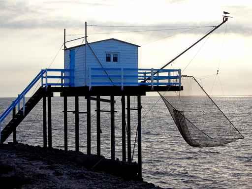 Traditional Fishing for Plaice Wall Decal