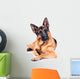 German Shepherd Isolated on White Background, Lying Down. Wall Decal