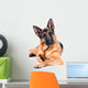 German Shepherd Isolated on White Background, Lying Down. Wall Decal