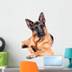 German Shepherd Isolated on White Background, Lying Down. Wall Decal