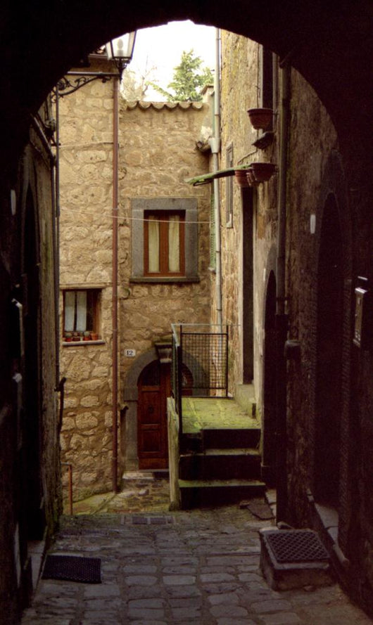 Italian Walk and Homes Wall Mural