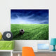 Soccer 150 Wall Mural