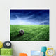 Soccer 150 Wall Mural