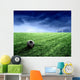 Soccer 150 Wall Mural