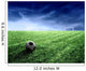 Soccer 150 Wall Mural
