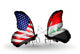 Two Butterflies with Flags Usa and Iraq Wall Decal