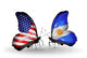 Two Butterflies with Flags  Usa and Argentina Wall Decal